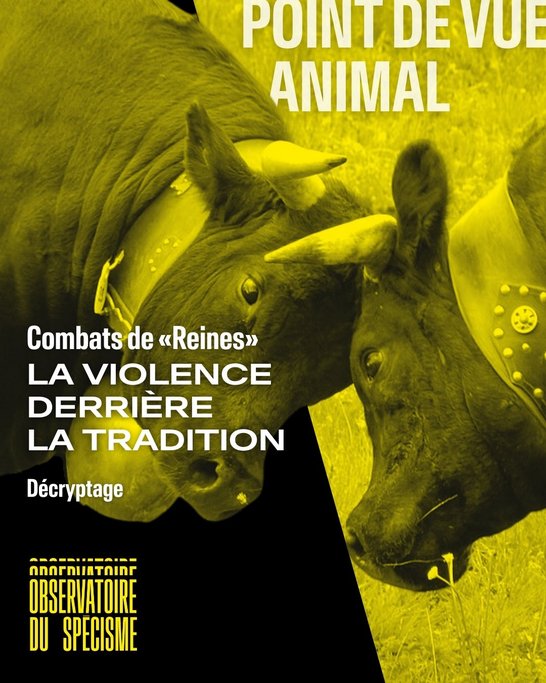 Point de vue animal #3 - 1
