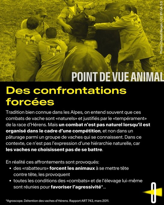 Point de vue animal #3 -2
