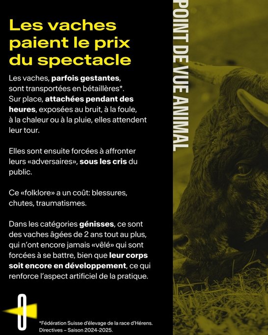 Point de vue animal #3 -3