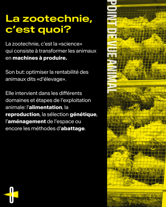 Zootechnie  03