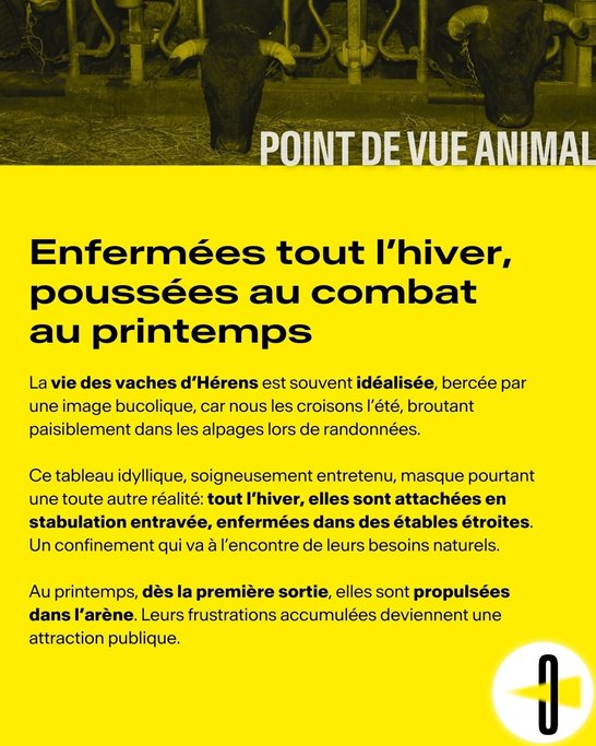 Point de vue animal #3 -4