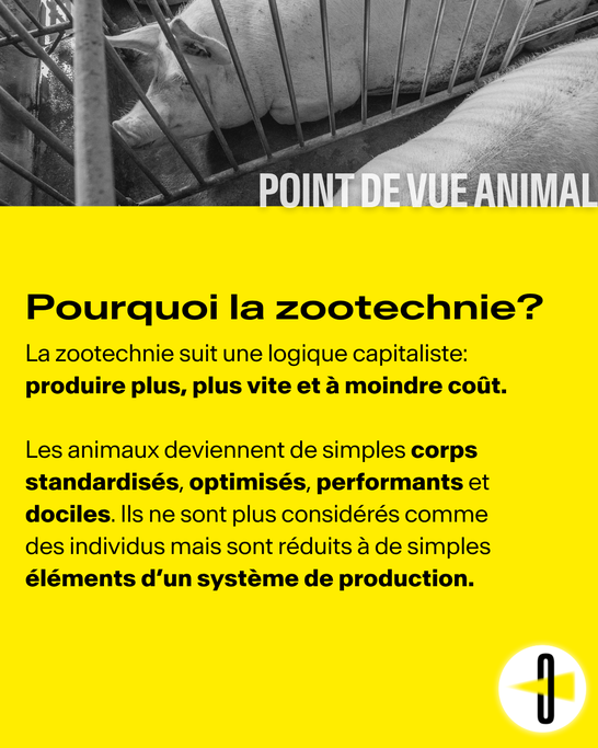 Zootechnie 04