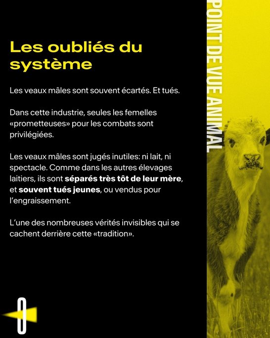 Point de vue animal #3 -5