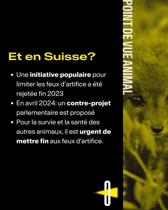 Point de vue animal #1 Feux d'artifice - 5