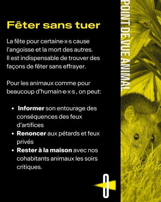 Point de vue animal #1 Feux d'artifice - 6