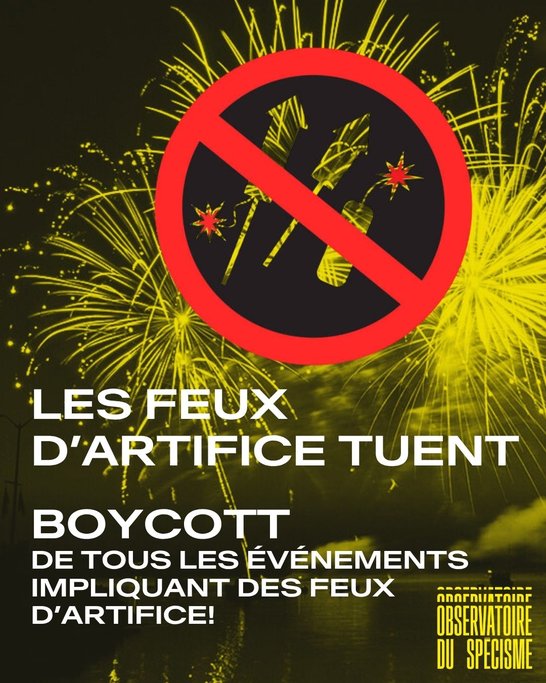 Point de vue animal #1 Feux d'artifice - 7