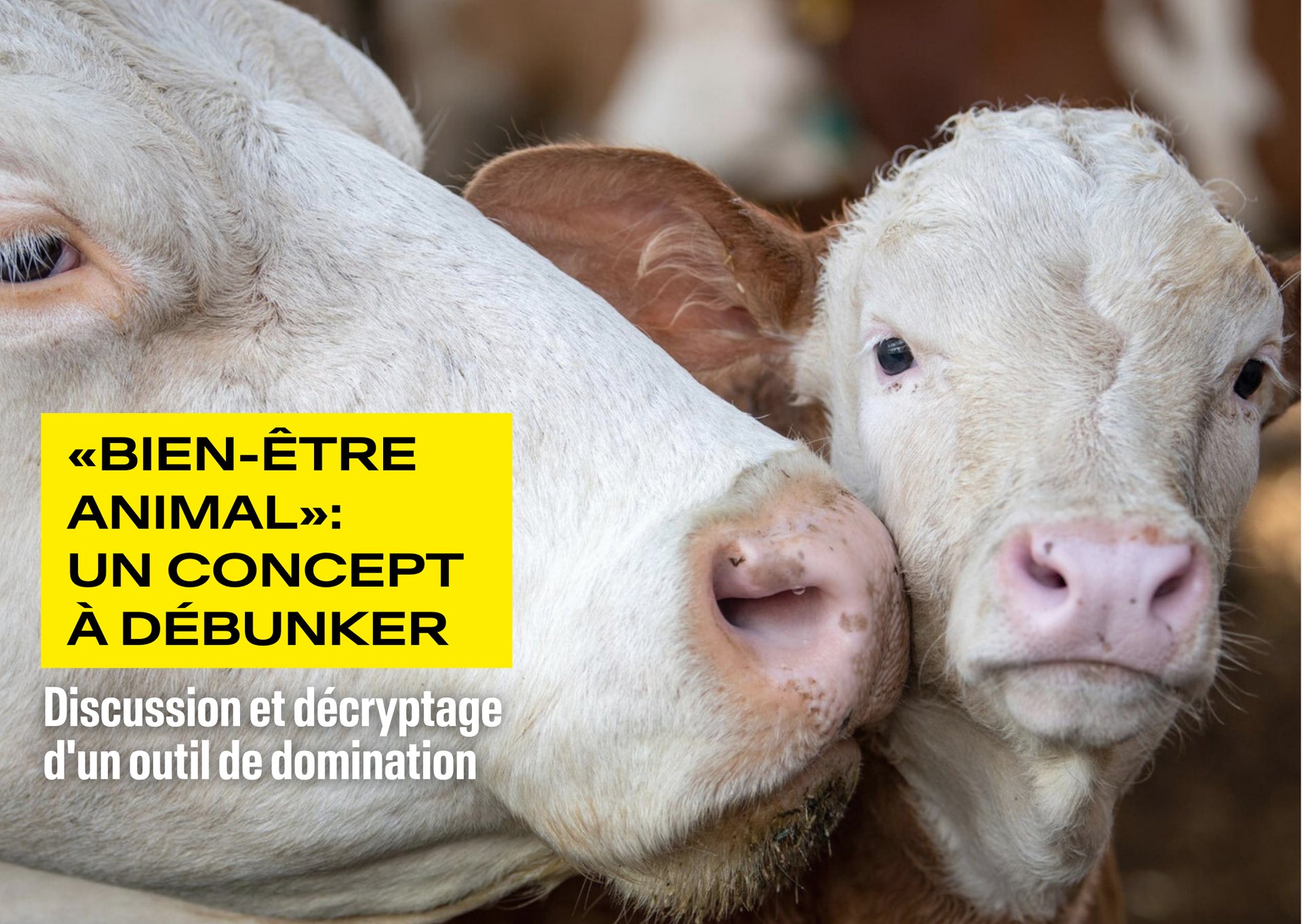 annonce_26_avril_horizontale