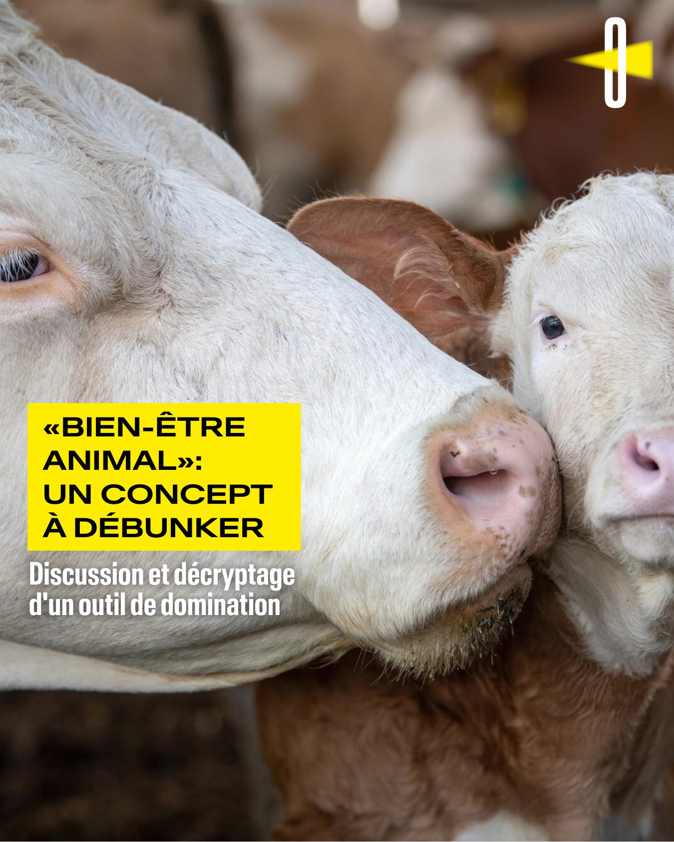 annonce_sans_texte_bas