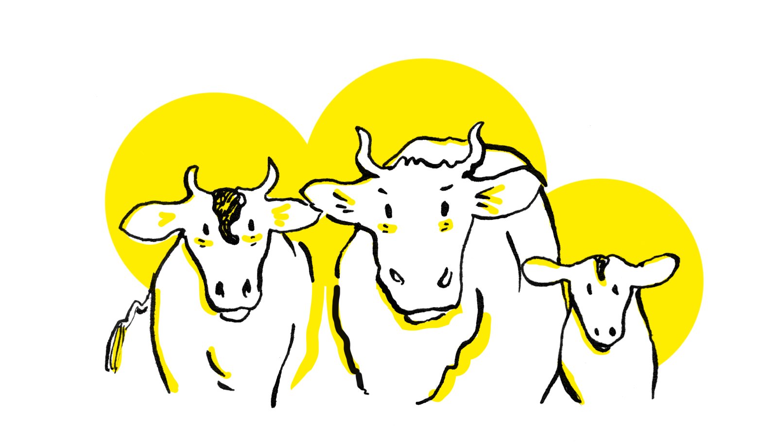 Qui subit 7 trio fin