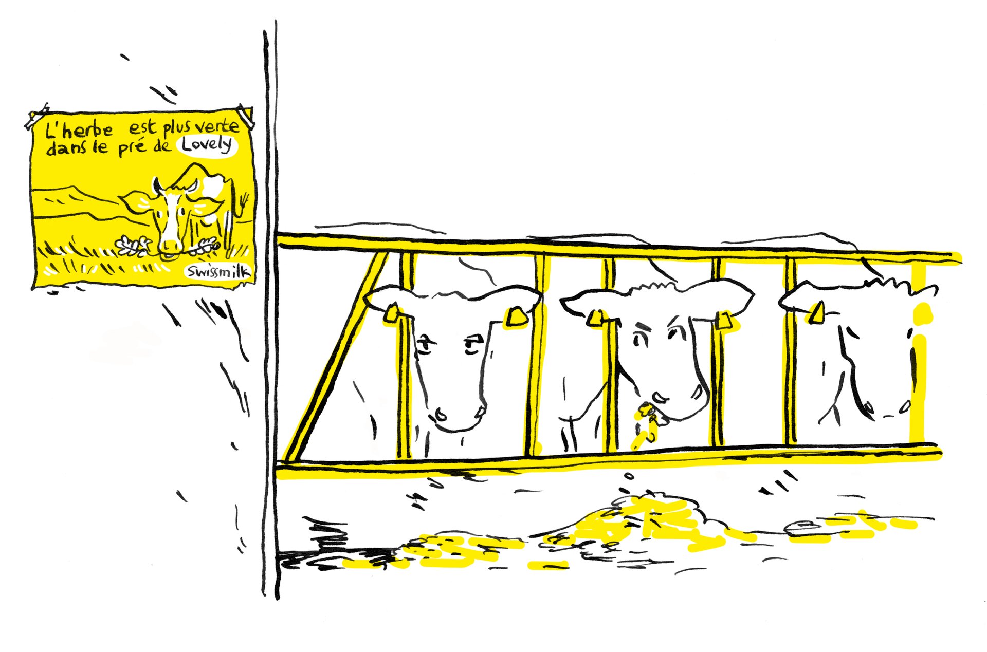 Swissmilk manipule 3