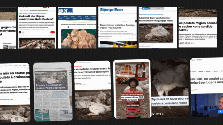 GIF couverture médiatique Ross 308