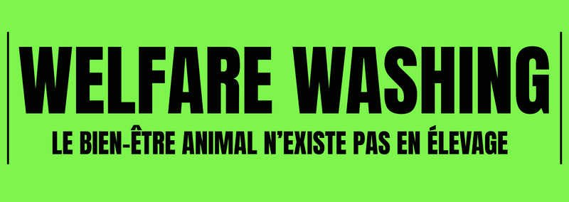 Visuel welfare washing fluo