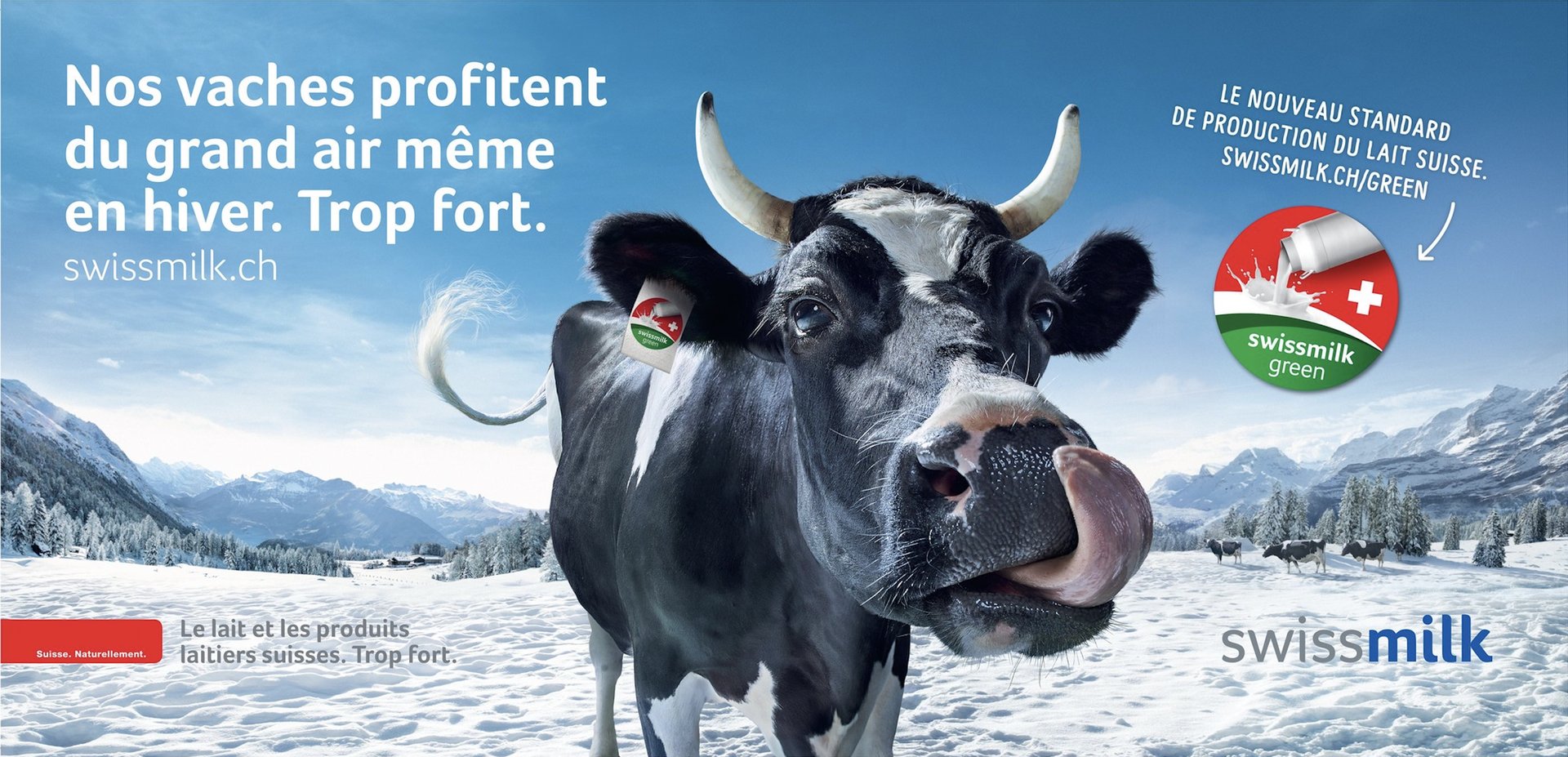 Pub Swissmilk hiver sortie